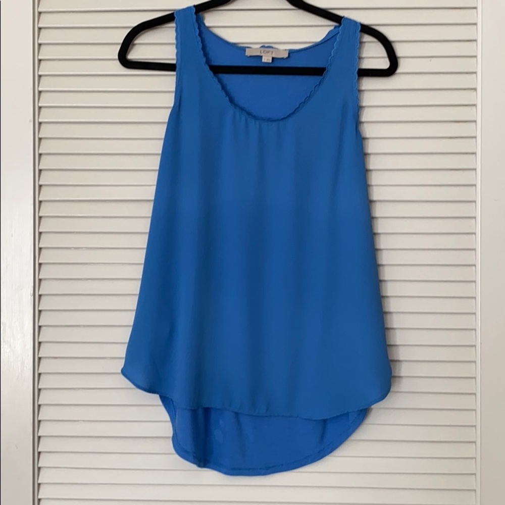 Blue scallop tank